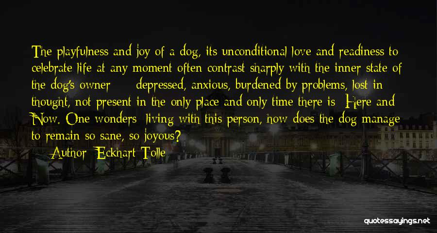 A Dog And Owner Quotes By Eckhart Tolle