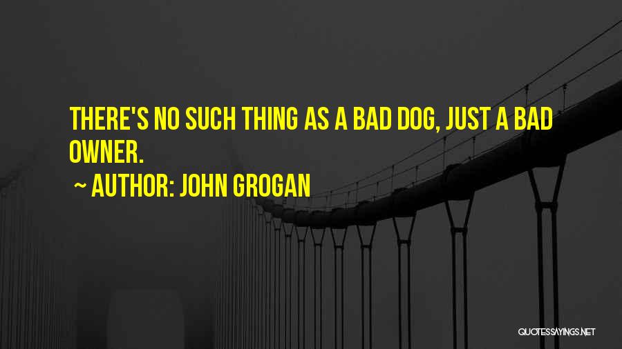 A Dog And Owner Quotes By John Grogan