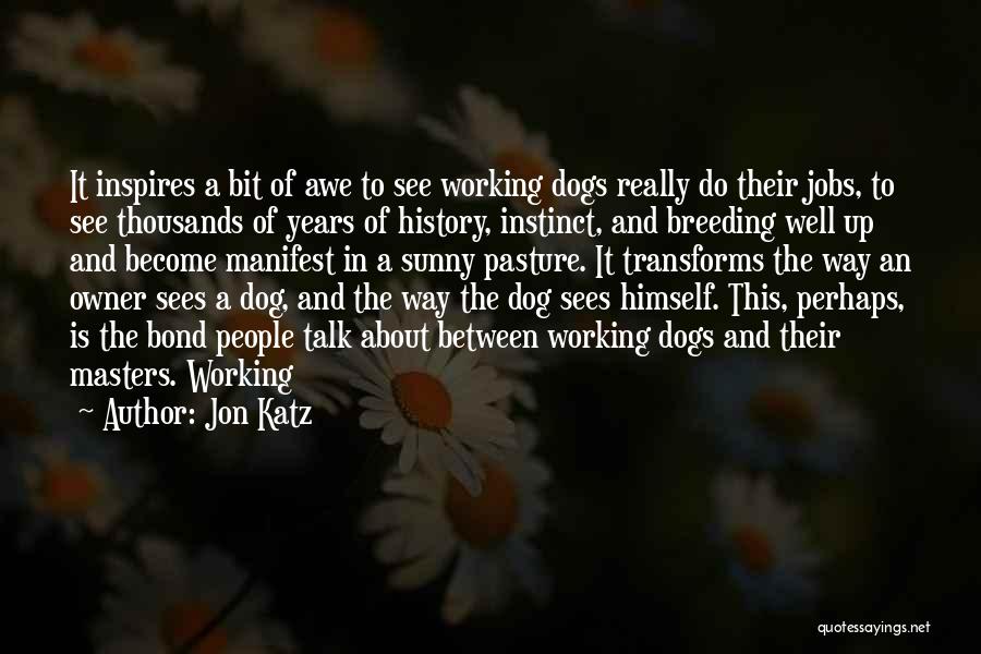 A Dog And Owner Quotes By Jon Katz