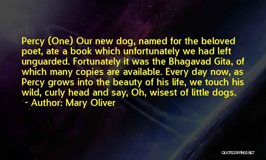A Dog Life Book Quotes By Mary Oliver