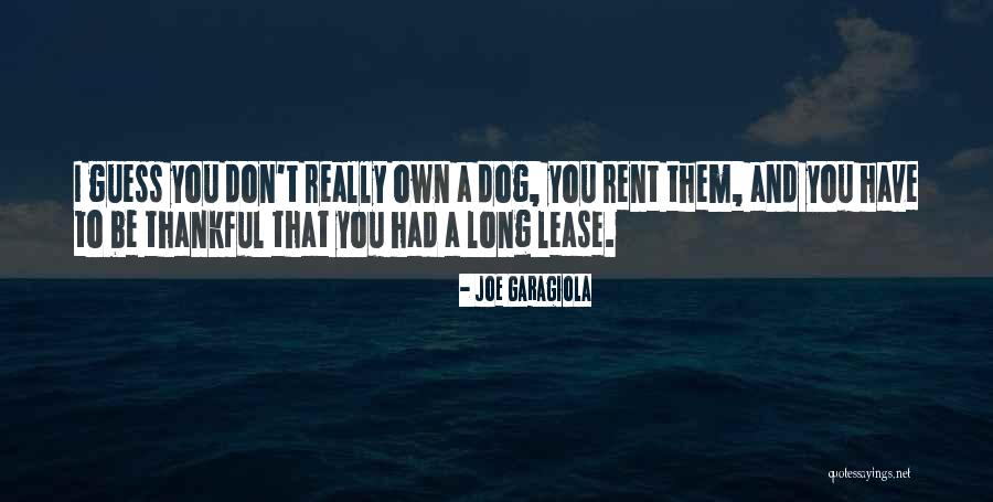 A Dog Loss Quotes By Joe Garagiola A Dog Loss Quotes By Joe Garagiola