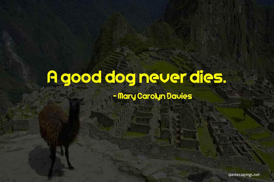 A Dog Loss Quotes By Mary Carolyn Davies A Dog Loss Quotes By Mary Carolyn Davies