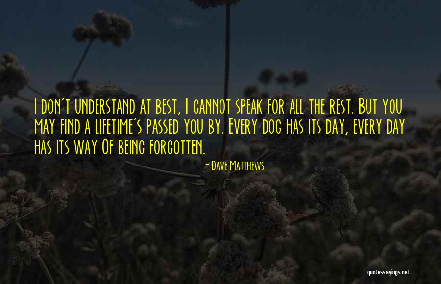 A Dog That Has Passed Quotes By Dave Matthews A Dog That Has Passed Quotes By Dave Matthews
