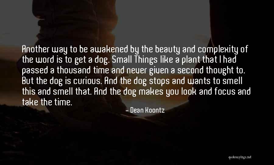 A Dog That Has Passed Quotes By Dean Koontz A Dog That Has Passed Quotes By Dean Koontz