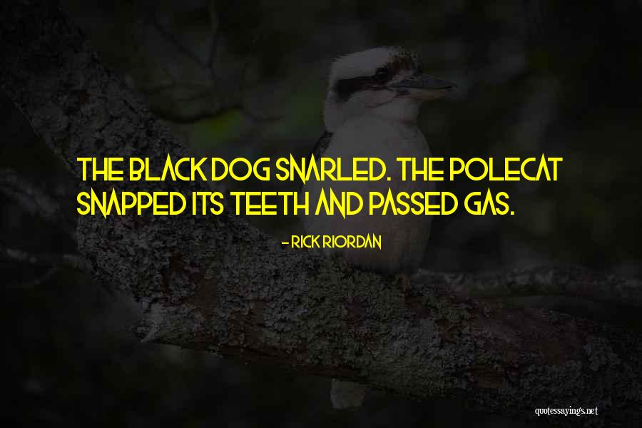 A Dog That Has Passed Quotes By Rick Riordan A Dog That Has Passed Quotes By Rick Riordan