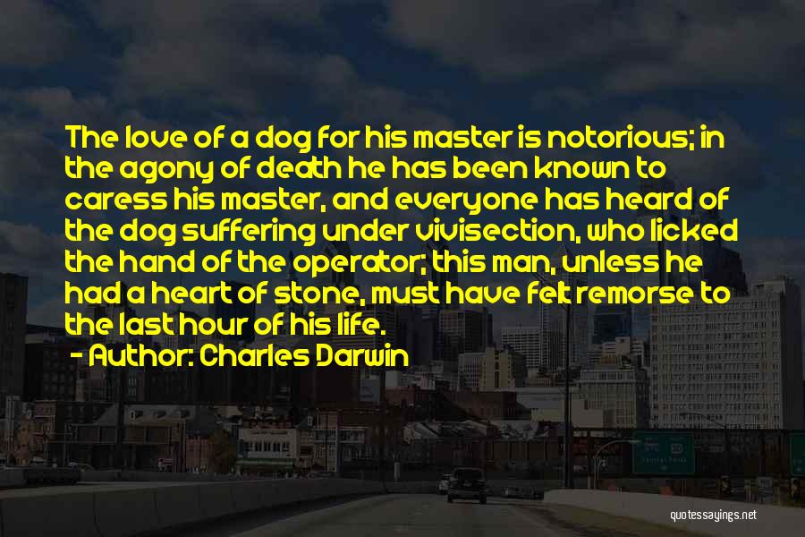 A Dog's Death Quotes By Charles Darwin