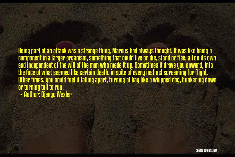 A Dog's Death Quotes By Django Wexler