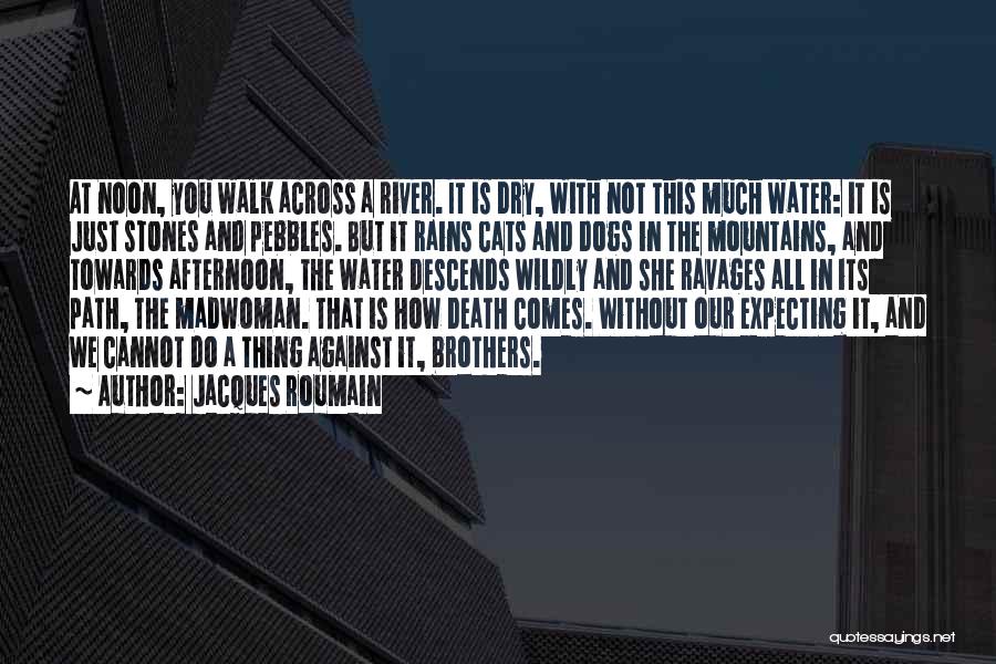 A Dog's Death Quotes By Jacques Roumain