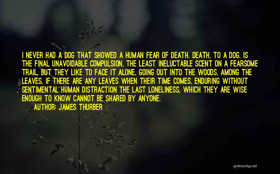 A Dog's Death Quotes By James Thurber