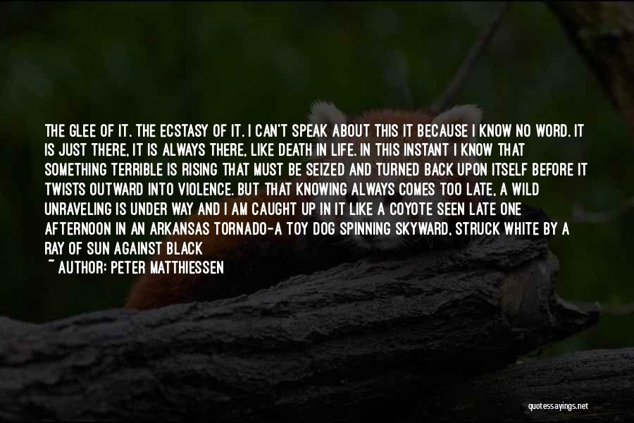 A Dog's Death Quotes By Peter Matthiessen