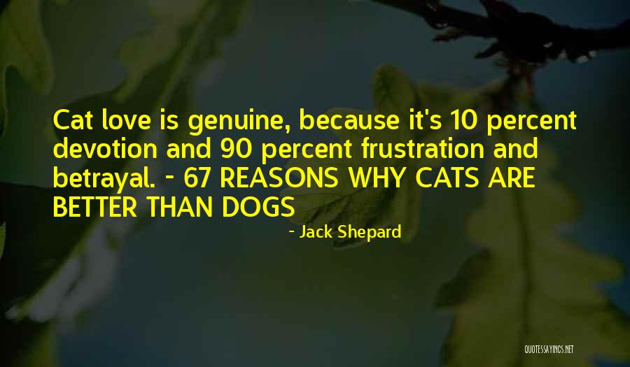 A Dogs Devotion Quotes By Jack Shepard A Dogs Devotion Quotes By Jack Shepard