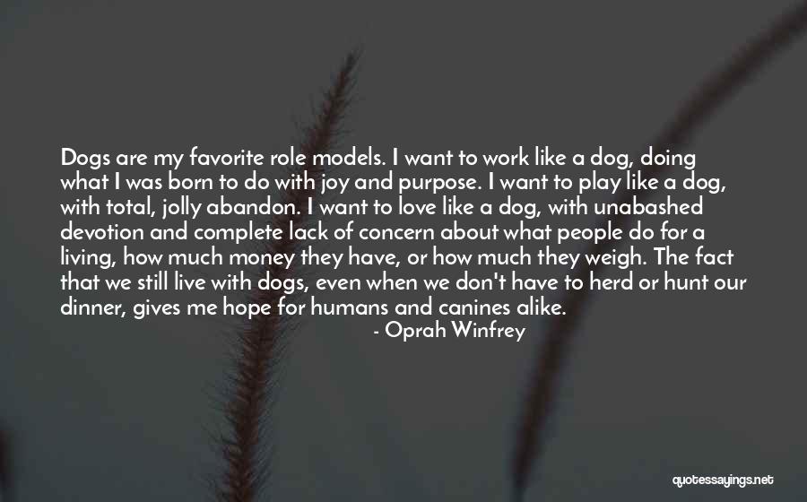 A Dogs Devotion Quotes By Oprah Winfrey A Dogs Devotion Quotes By Oprah Winfrey