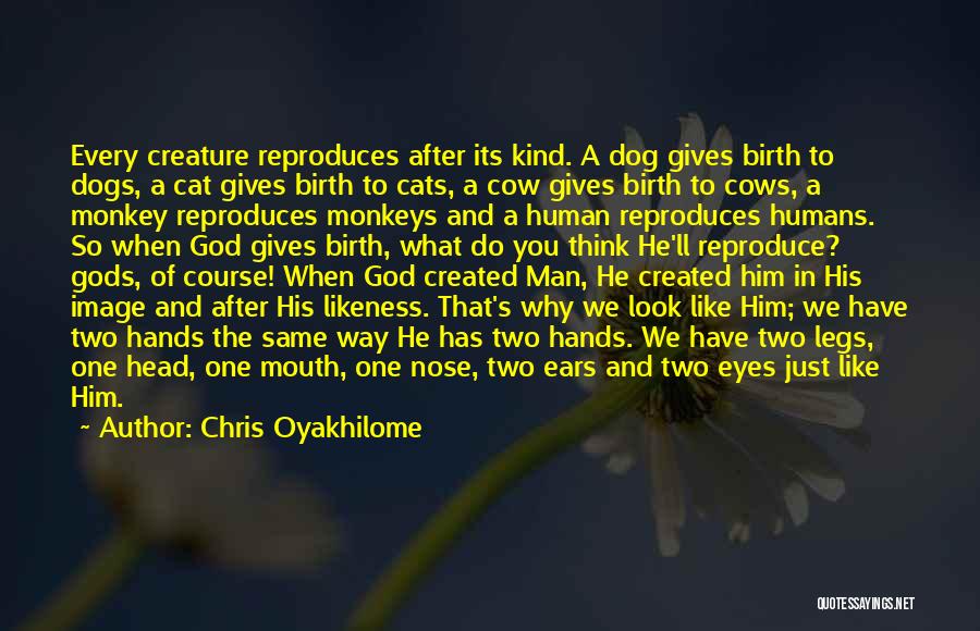 A Dog's Eyes Quotes By Chris Oyakhilome