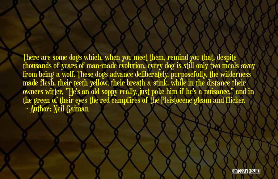 A Dog's Eyes Quotes By Neil Gaiman