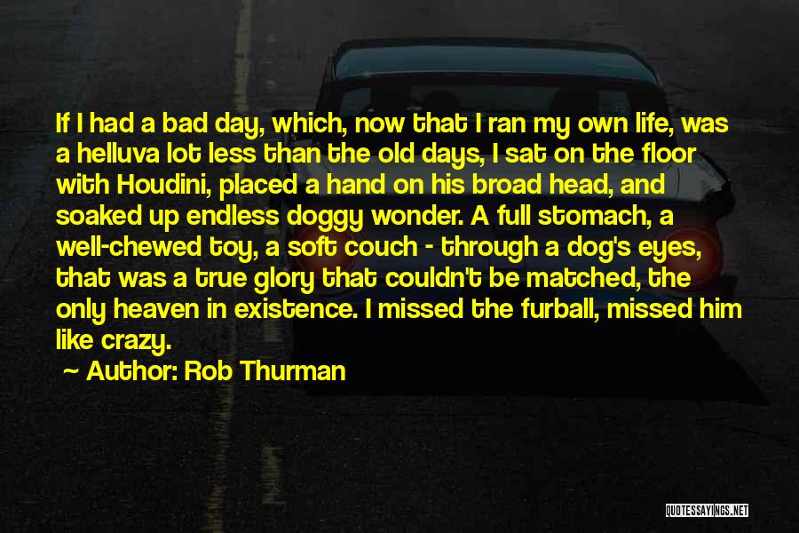 A Dog's Eyes Quotes By Rob Thurman