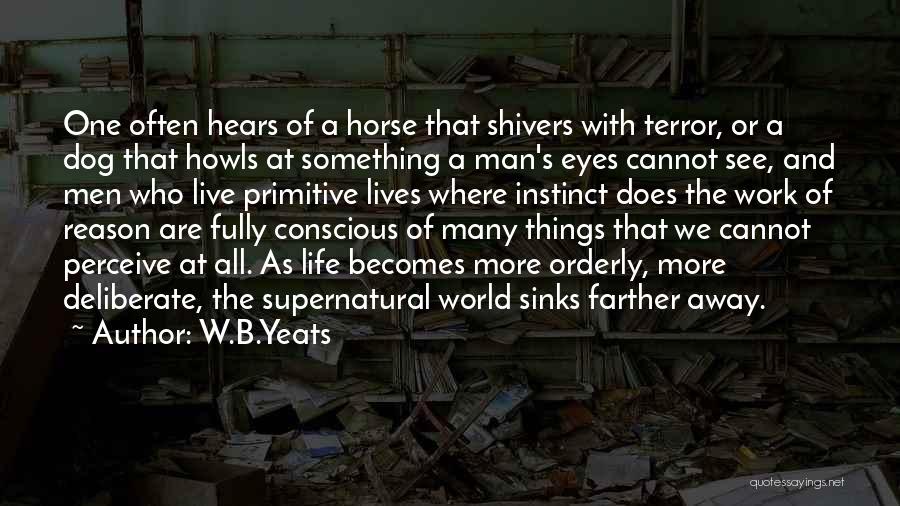 A Dog's Eyes Quotes By W.B.Yeats