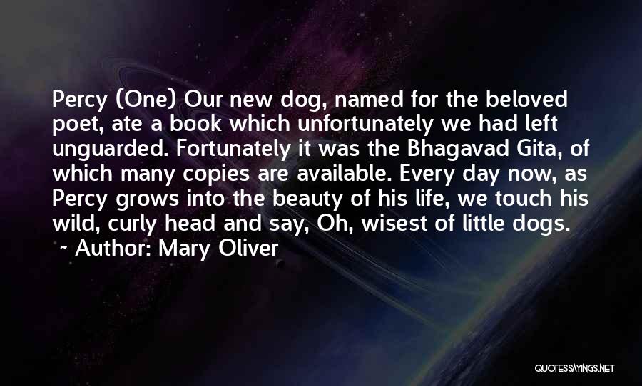 A Dog's Life Book Quotes By Mary Oliver
