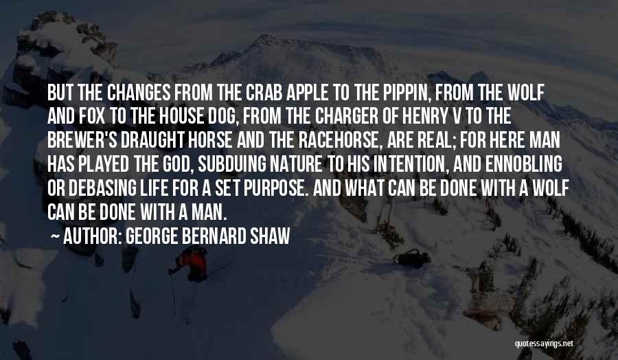 A Dog's Purpose Quotes By George Bernard Shaw