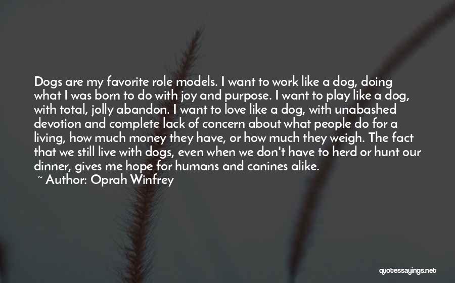 A Dog's Purpose Quotes By Oprah Winfrey