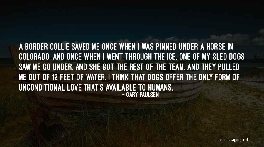 A Dogs Unconditional Love Quotes By Gary Paulsen A Dogs Unconditional Love Quotes By Gary Paulsen