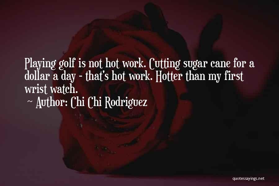 A Dollar A Day Quotes By Chi Chi Rodriguez