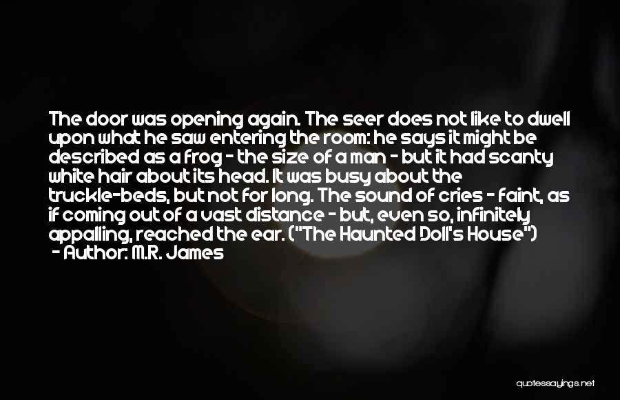 A Doll's House Quotes By M.R. James