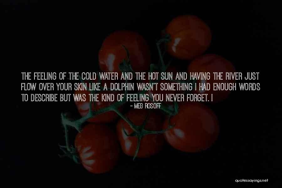 A Dolphin Quotes By Meg Rosoff A Dolphin Quotes By Meg Rosoff