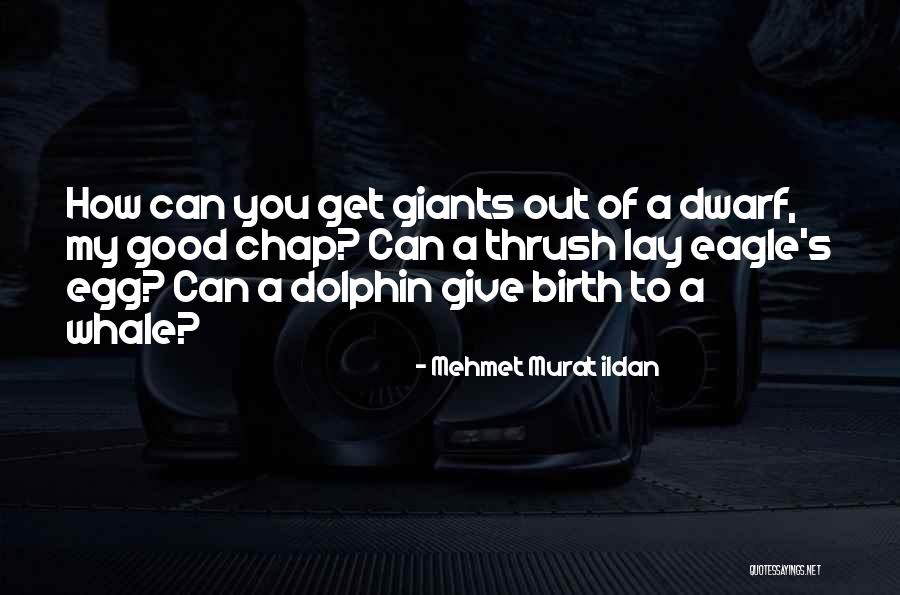 A Dolphin Quotes By Mehmet Murat Ildan A Dolphin Quotes By Mehmet Murat Ildan