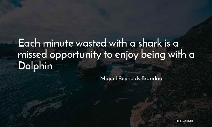 A Dolphin Quotes By Miguel Reynolds Brandao A Dolphin Quotes By Miguel Reynolds Brandao