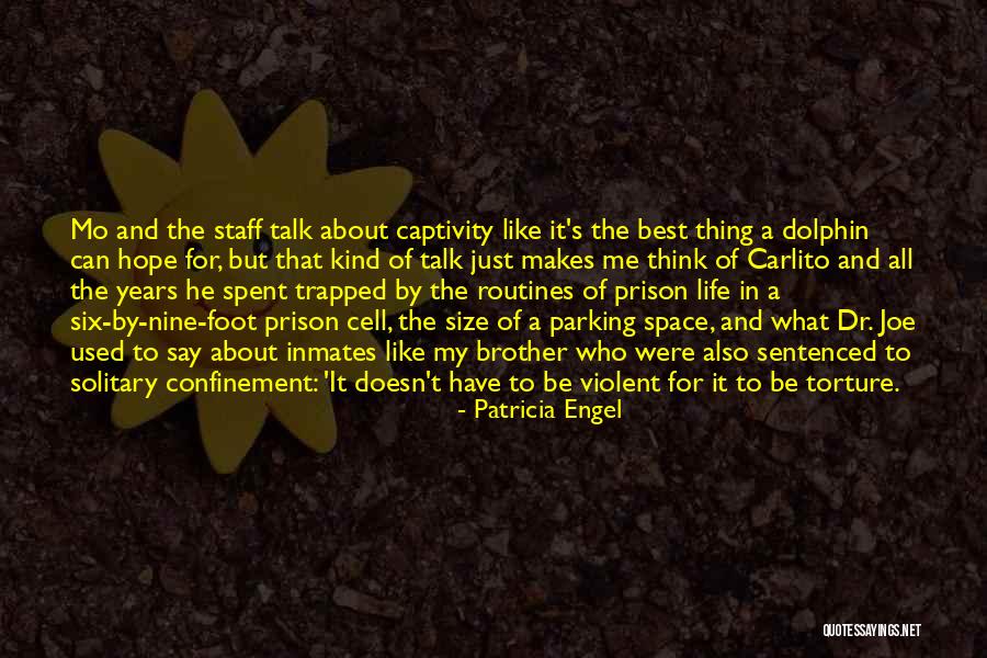 A Dolphin Quotes By Patricia Engel A Dolphin Quotes By Patricia Engel