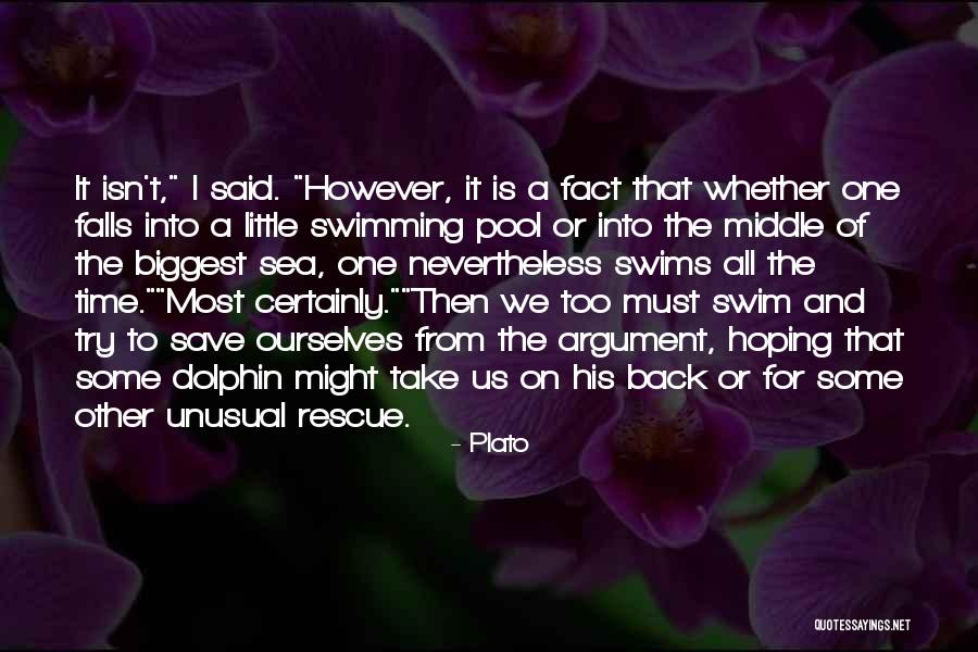 A Dolphin Quotes By Plato A Dolphin Quotes By Plato