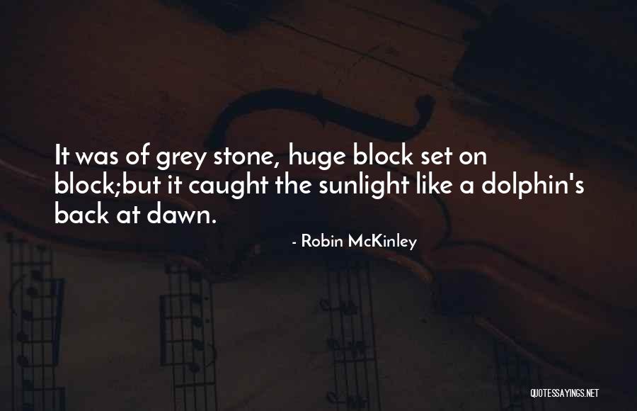 A Dolphin Quotes By Robin McKinley A Dolphin Quotes By Robin McKinley