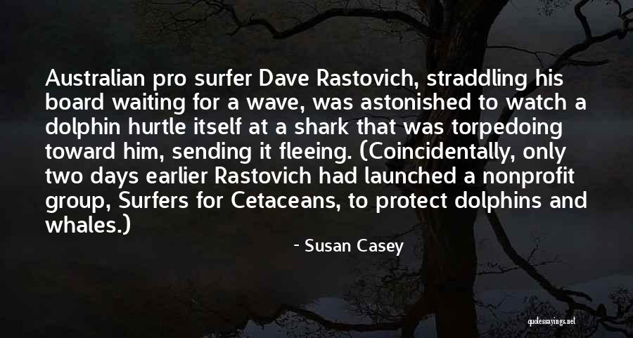 A Dolphin Quotes By Susan Casey A Dolphin Quotes By Susan Casey