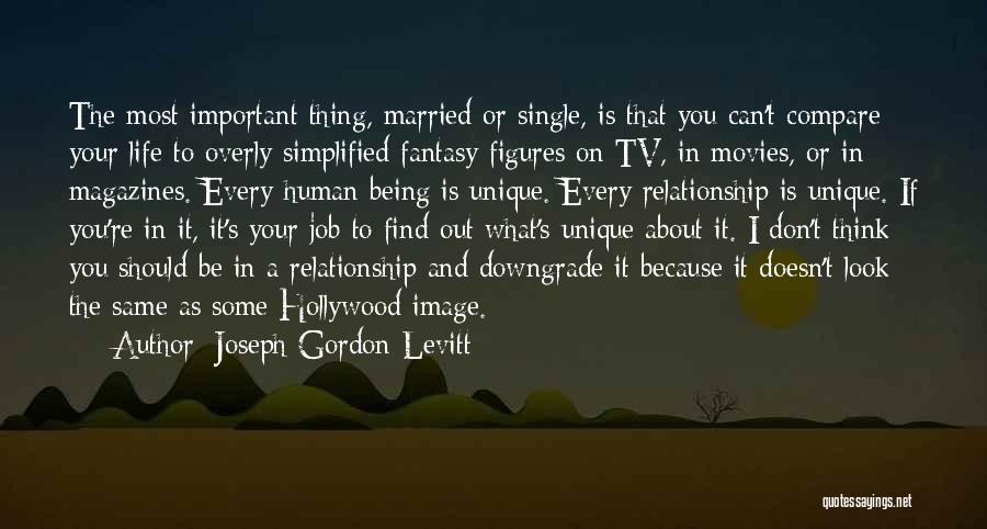 A Downgrade Quotes By Joseph Gordon-Levitt