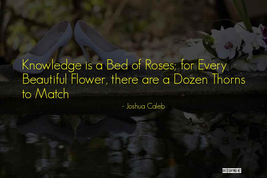 A Dozen Roses Quotes By Joshua Caleb A Dozen Roses Quotes By Joshua Caleb
