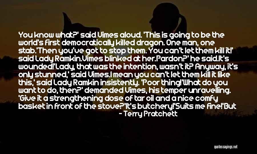 A Dragon Lady Quotes By Terry Pratchett