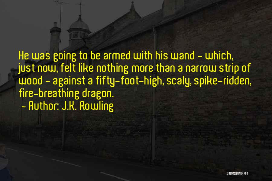 A Dragon Quotes By J.K. Rowling