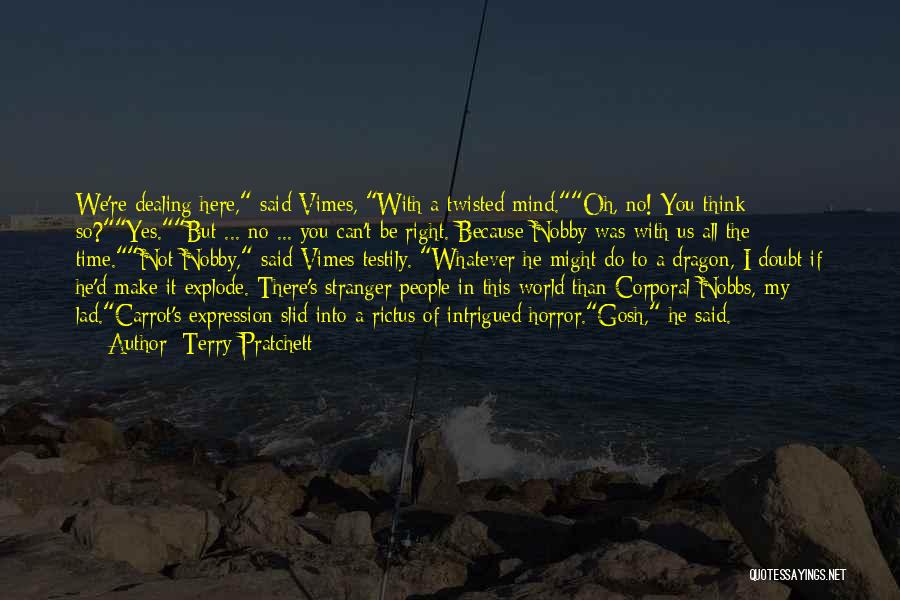 A Dragon Quotes By Terry Pratchett