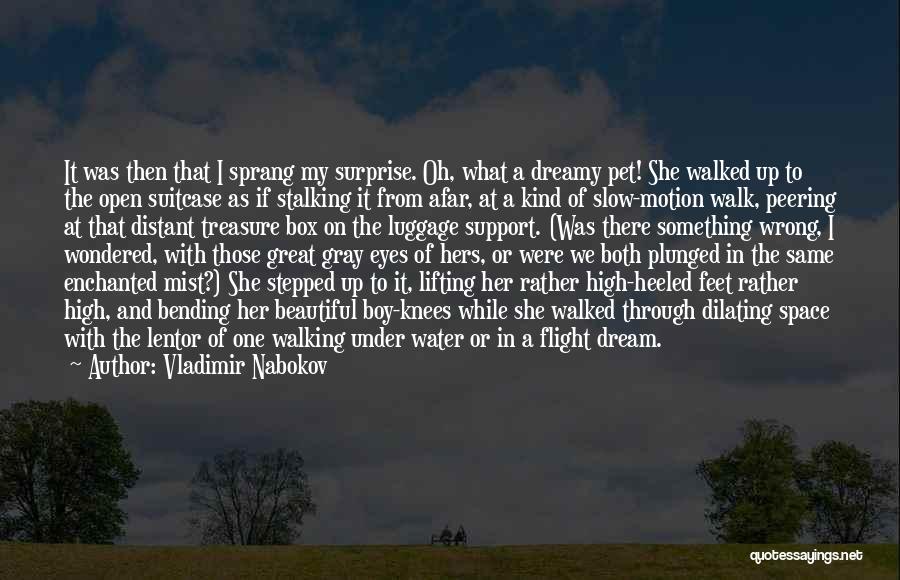 A Dream Boy Quotes By Vladimir Nabokov