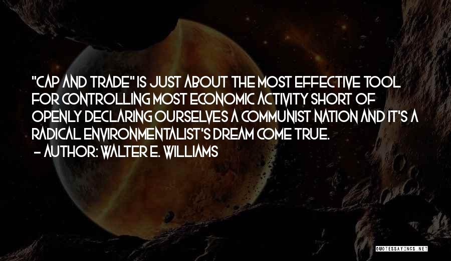 A Dream Come True Quotes By Walter E. Williams