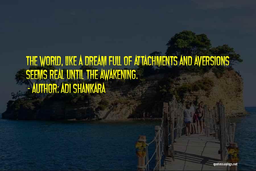 A Dream World Quotes By Adi Shankara