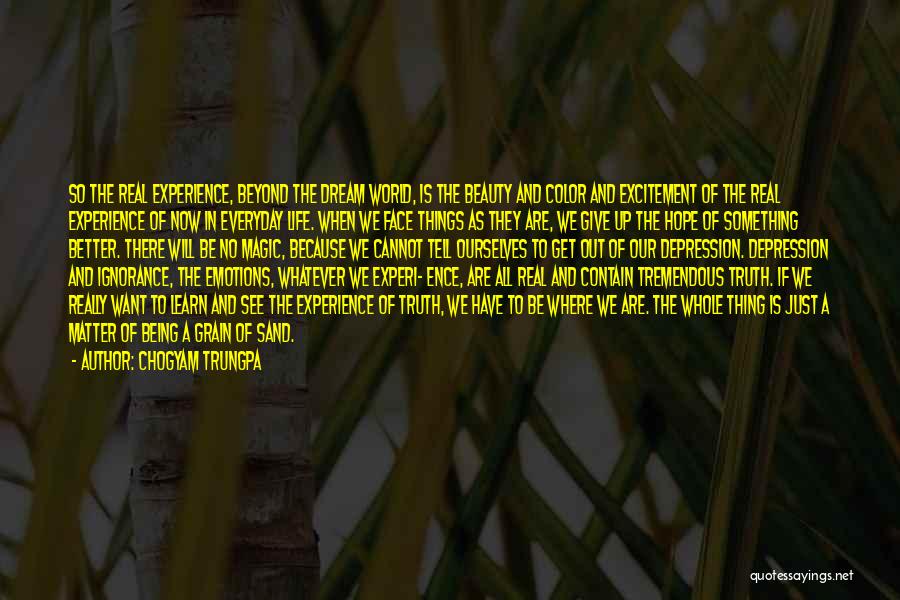 A Dream World Quotes By Chogyam Trungpa