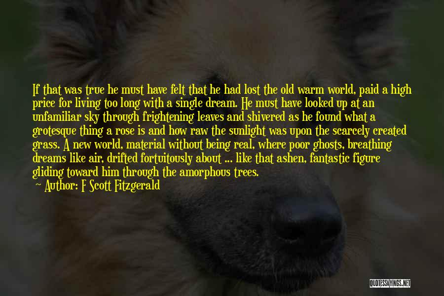 A Dream World Quotes By F Scott Fitzgerald