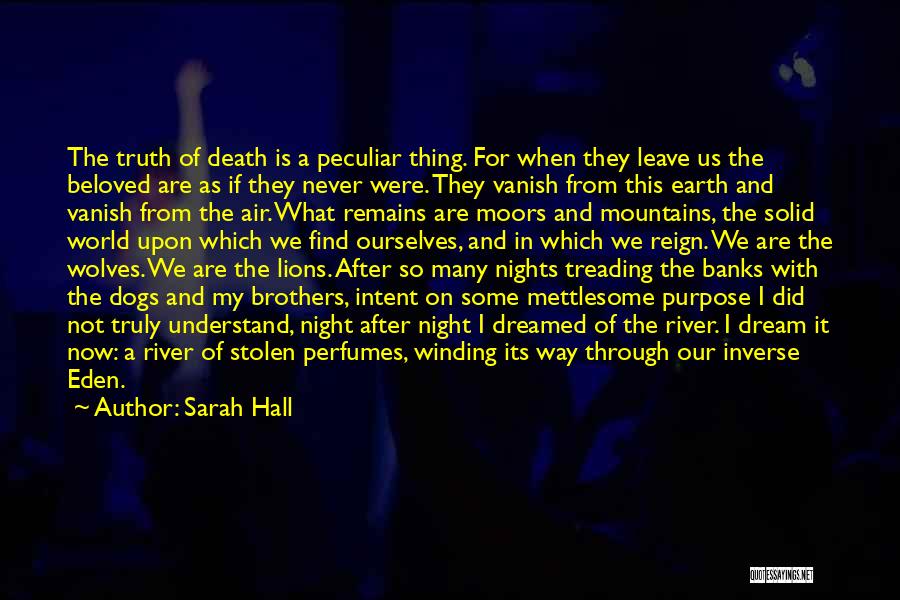 A Dream World Quotes By Sarah Hall