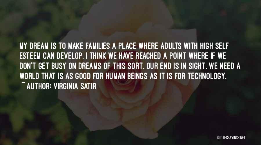 A Dream World Quotes By Virginia Satir