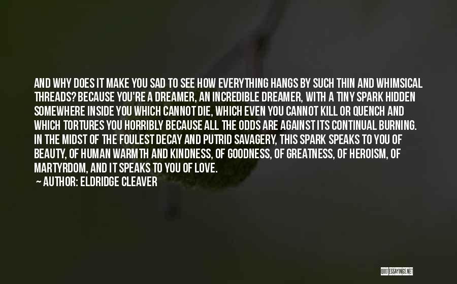 A Dreamer Quotes By Eldridge Cleaver