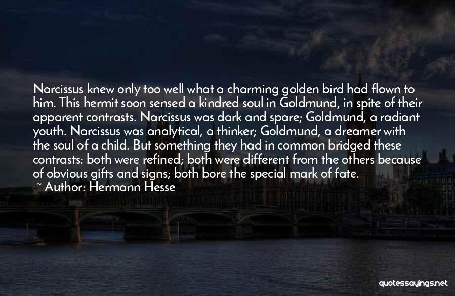 A Dreamer Quotes By Hermann Hesse