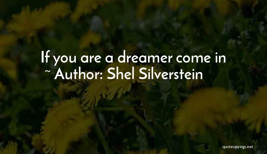 A Dreamer Quotes By Shel Silverstein