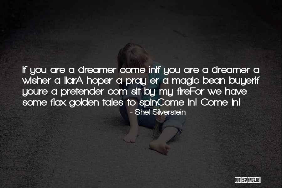 A Dreamer Quotes By Shel Silverstein