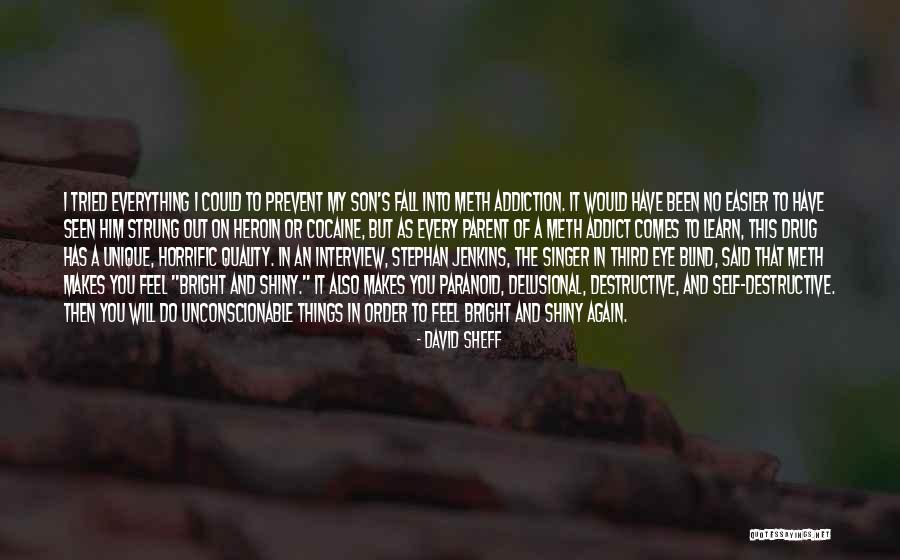 A Drug Addict Quotes By David Sheff A Drug Addict Quotes By David Sheff